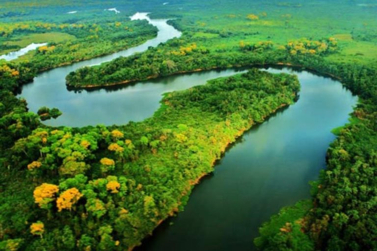 Explorando as Maravilhas Naturais da Amazônia: Uma Jornada Inesquecível