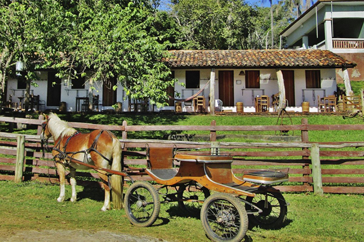 Descobrindo os Segredos de uma Fazenda: Lucro e Despesas Mensais