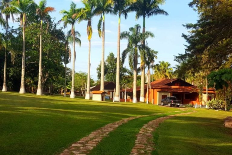 Uma Casa de Campo na Cidade: O Equilíbrio Perfeito Entre a Natureza e a Vida Urbana