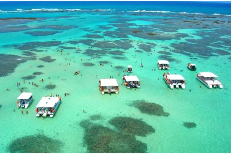 Descobrindo o Encanto de Maragogi, Alagoas: Paraíso Natural no Nordeste Brasileiro