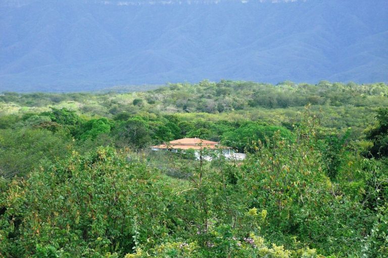 Imóveis na Serra da Ibiapaba, no Ceará